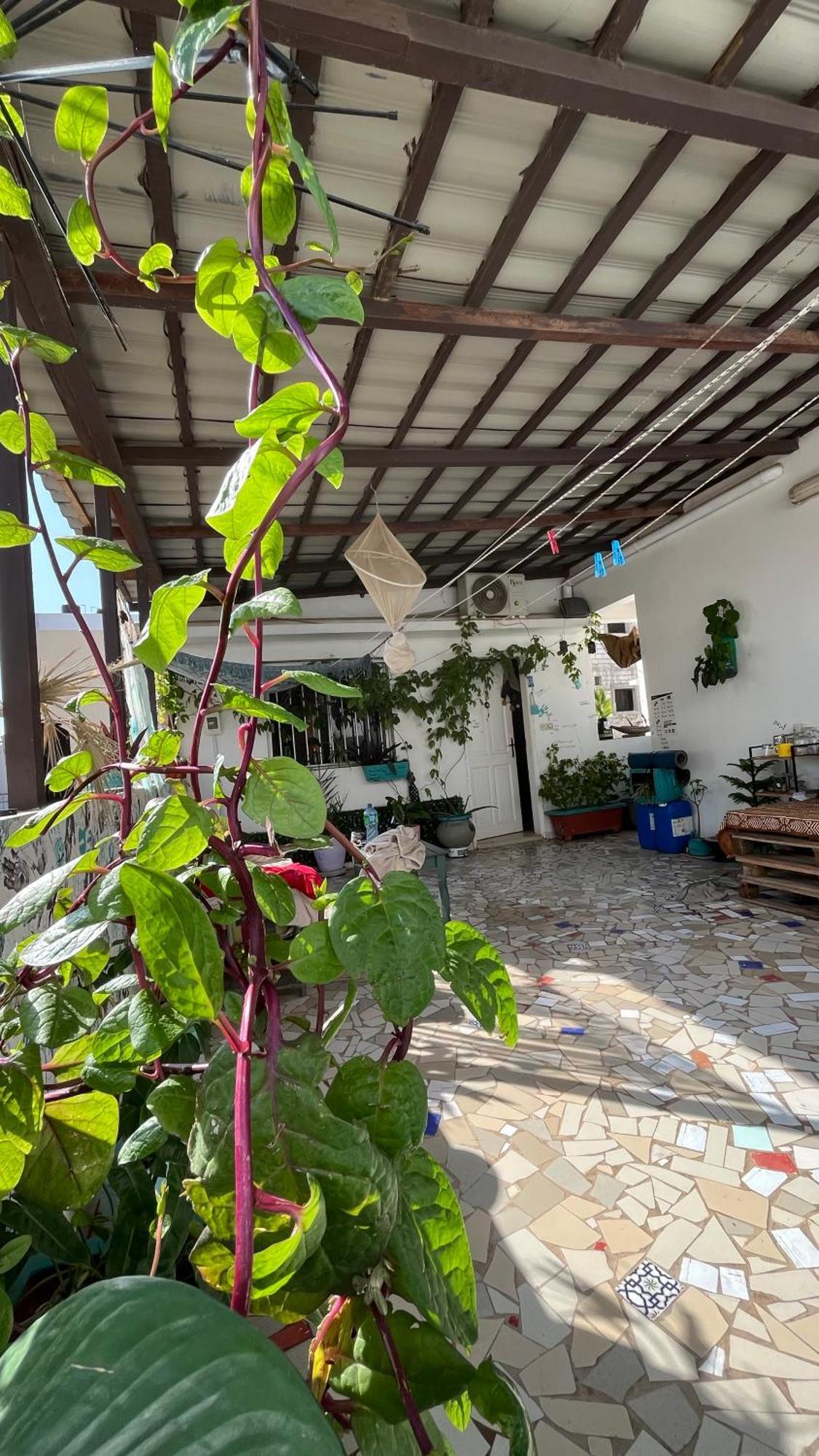 Dar Dyali Rooftop ⁿᵉᵃʳ ⁿᵍᵒʳ ᵇᵉᵃᶜʰ ᵃⁿᵈ ⁱˢˡᵃⁿᵈ Dakar Luaran gambar