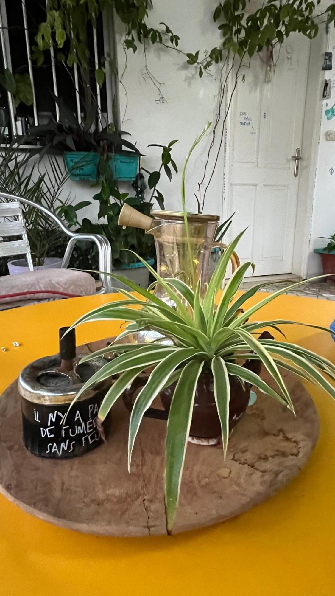 Dar Dyali Rooftop ⁿᵉᵃʳ ⁿᵍᵒʳ ᵇᵉᵃᶜʰ ᵃⁿᵈ ⁱˢˡᵃⁿᵈ Dakar Luaran gambar